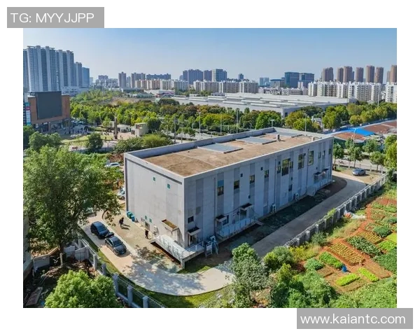 今日的武汉光谷，欢腾了！